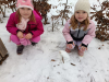 IMG_20250122_084741