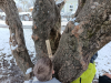 IMG_20250218_101509-1