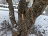 IMG_20250218_101602-1