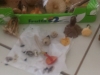 imag0909