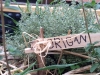 photo-3_2