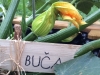 photo-4_1