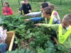 photo-5_1