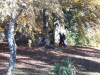 20161022_095016