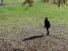 20161022_102833
