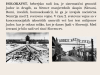 KDOR-RESI-ENO-ZIVLJENJE-RESI-SVET_-razstava-2025_page-0007