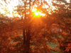 imag0257
