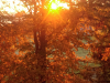 imag0258
