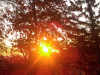 imag0261