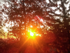 imag0262