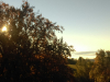 imag0284