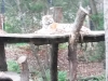 20151120_141947