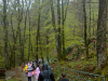 IMG20250415091446